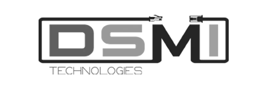 creation site web branding referencement seo DSMI Technologies grayscale