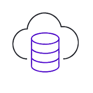 Développement informatique sur mesure 19 Plateforme SaaS